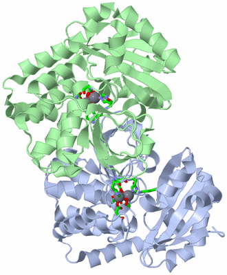 Image Asym./Biol. Unit - sites