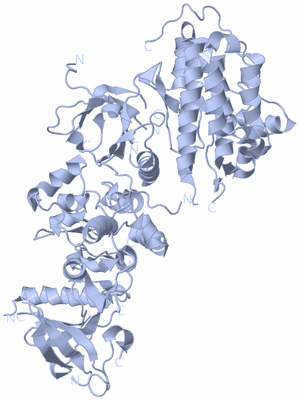 Image Biological Unit 1