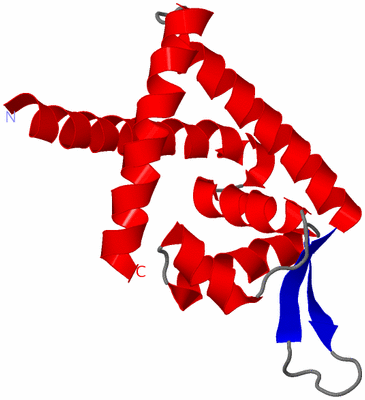 Image Asymmetric Unit