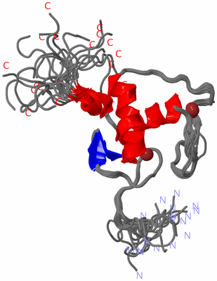 Image NMR Structure - all models