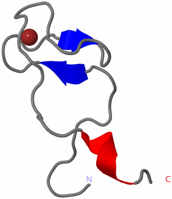 Image NMR Structure - model 1