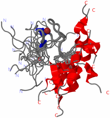 Image NMR Structure - all models