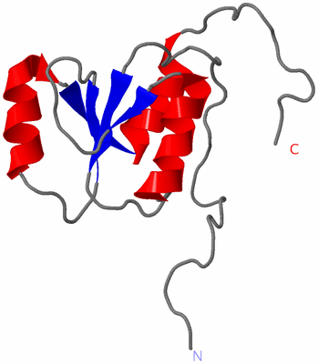 Image NMR Structure - model 1