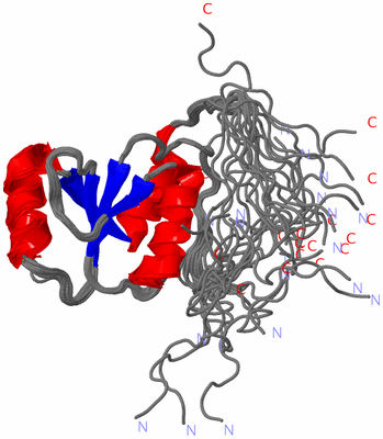 Image NMR Structure - all models