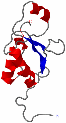 Image NMR Structure - model 1