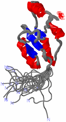 Image NMR Structure - all models