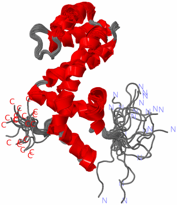 Image NMR Structure - all models