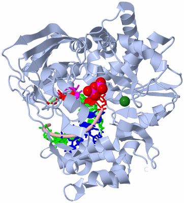 Image Biological Unit 1