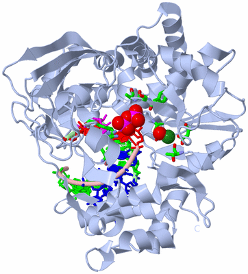 Image Biol. Unit 1 - sites