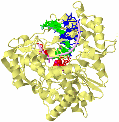 Image Biological Unit 2