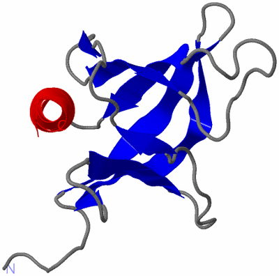 Image NMR Structure - model 1