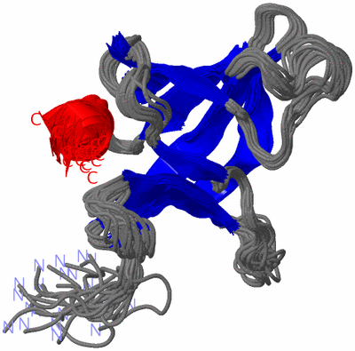 Image NMR Structure - all models