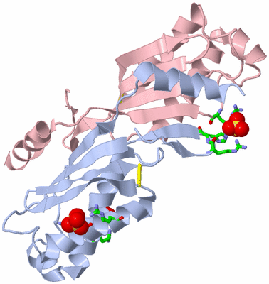 Image Biol. Unit 1 - sites