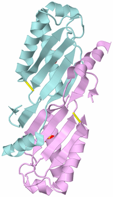 Image Biological Unit 3