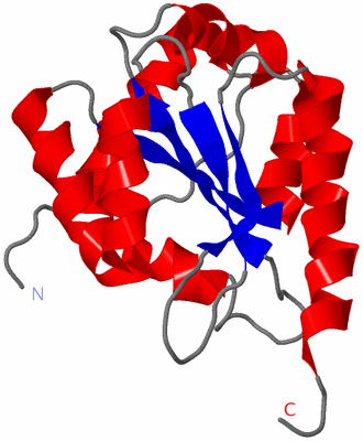 Image NMR Structure - model 1