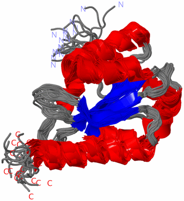 Image NMR Structure - all models