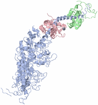 Image Asym./Biol. Unit