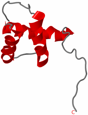 Image NMR Structure - model 1