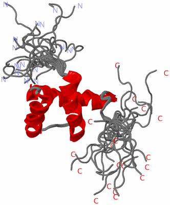 Image NMR Structure - all models