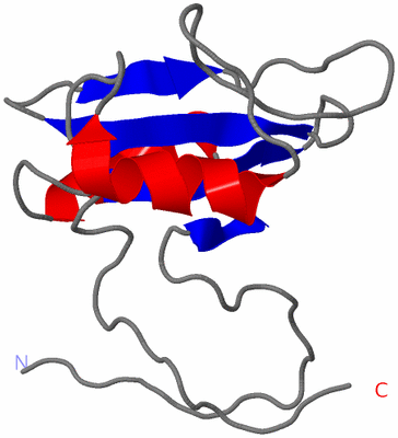 Image NMR Structure - model 1