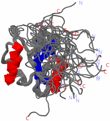 Image NMR Structure - all models