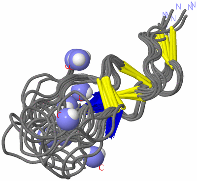 Image NMR Structure - all models