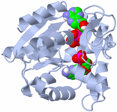 Image Biological Unit 1