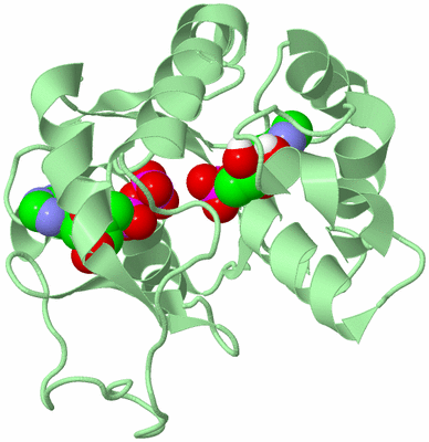 Image Biological Unit 2