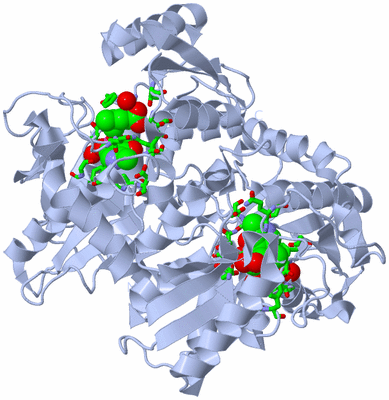 Image Biol. Unit 1 - sites