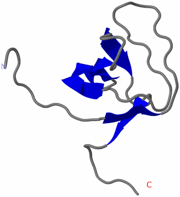 Image NMR Structure - model 1