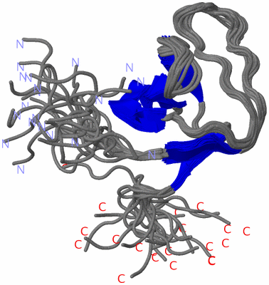 Image NMR Structure - all models