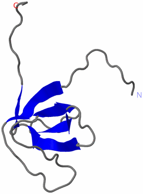 Image NMR Structure - model 1