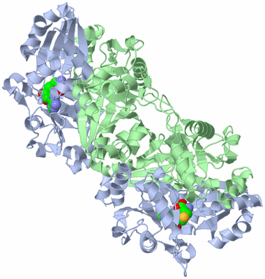 Image Biological Unit 2