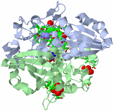 Image Biol. Unit 1 - sites