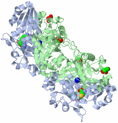 Image Biological Unit 2