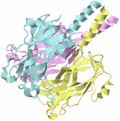 Image Biological Unit 2