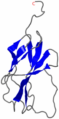 Image NMR Structure - model 1