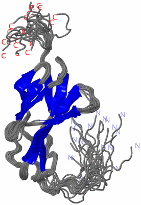 Image NMR Structure - all models