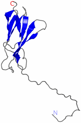 Image NMR Structure - model 1