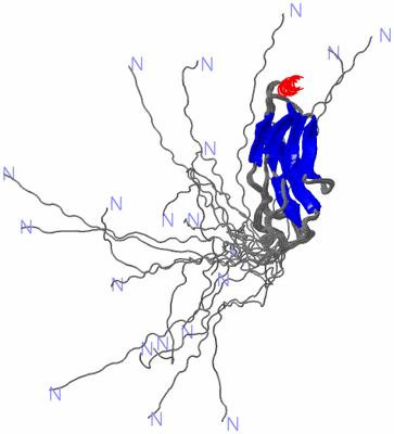 Image NMR Structure - all models