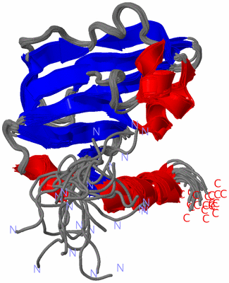 Image NMR Structure - all models