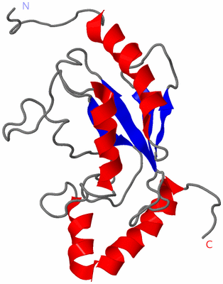 Image NMR Structure - model 1