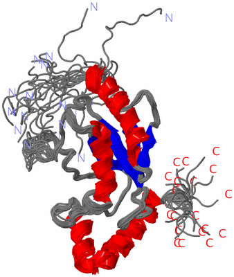 Image NMR Structure - all models