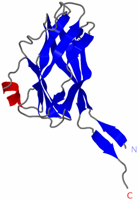 Image Asymmetric Unit