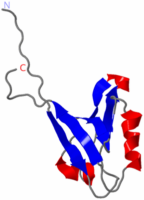 Image NMR Structure - model 1