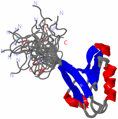 Image NMR Structure - all models