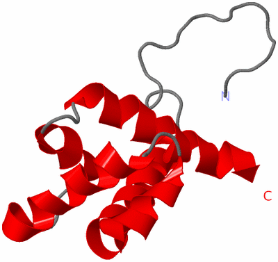 Image NMR Structure - model 1