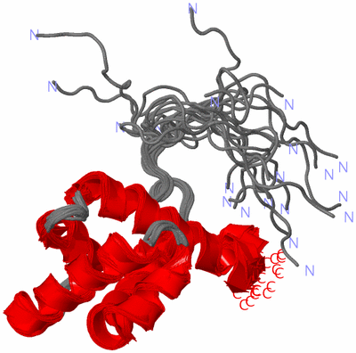 Image NMR Structure - all models