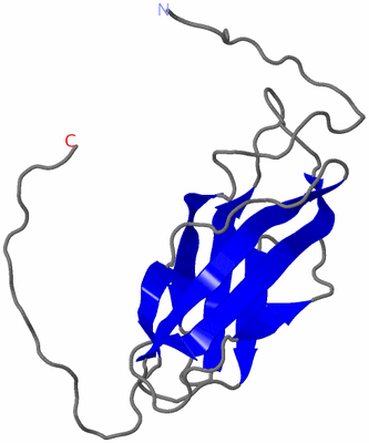 Image NMR Structure - model 1