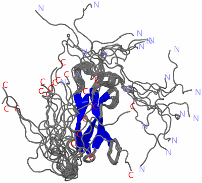 Image NMR Structure - all models